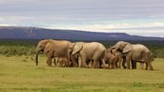 Http Www Kids World Travel Guide Com Africa Facts Html Http Www Kids World Travel Guide Com Africa Facts Html