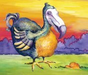 Додо - вымершая нелетающая птица Додо - вымершая нелетающая птица