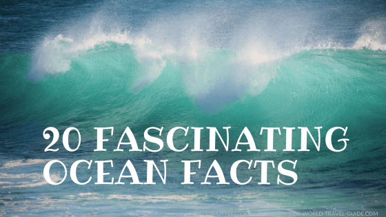 20 Ocean Facts for Kids by Kids World Travel Guide