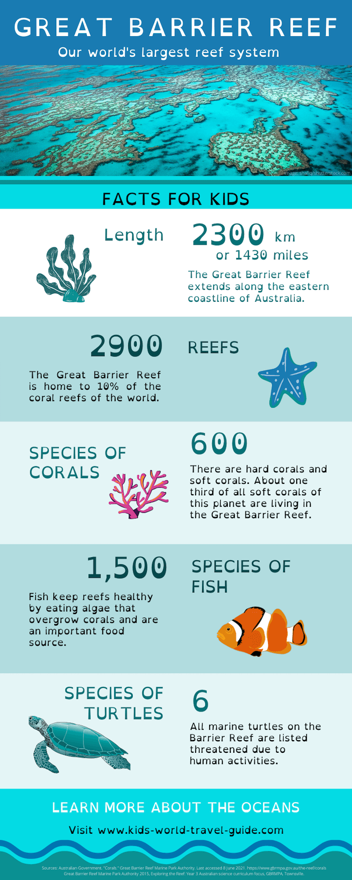 Fun Facts About Ocean Animals For Kids Image To U