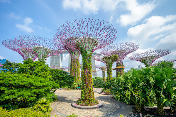 Singapore's Supertrees in Gardens By The Bay