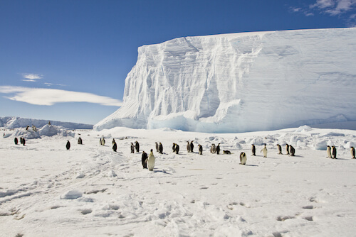 Antarctica Facts for Kids | Geography | Continents | Facts for Kids Antarctica Facts for Kids | Geography | Continents | Facts for Kids