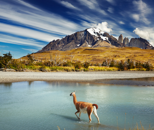 argentina patagonia ssk
