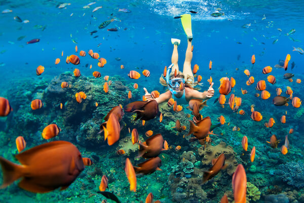 Diver in the clear Bahamian waters