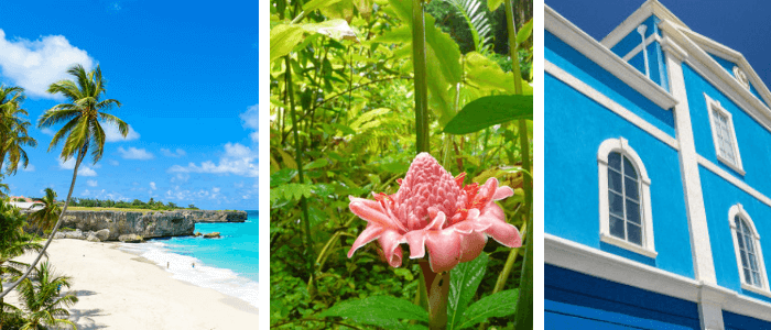 Fun Facts About Barbados - WorldAtlas