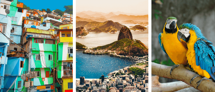 Brazil Facts for Kids | Brazil for Kids | Animals in Brazil | Travel