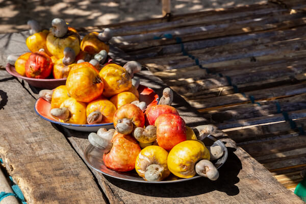 Cashew nuts grow in a shell and are attached to a cashew apple