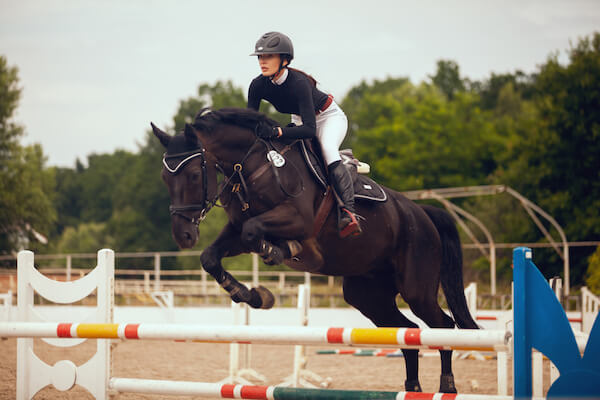 Equestrianism - horse with young rider jumping