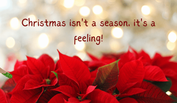 christmas quotes 16
