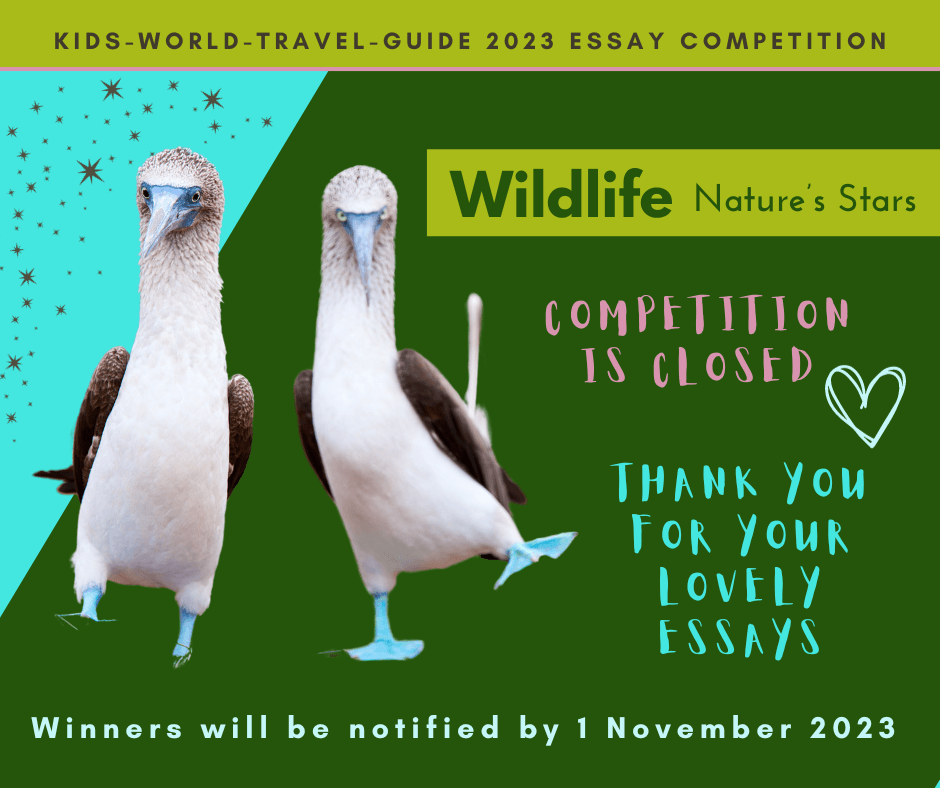competition 2023 closed competition 2023 closed