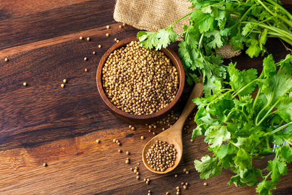 coriander