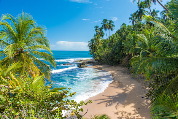 Costa Rica's Manzanillo beach