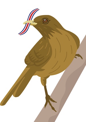 costarica_yugirro