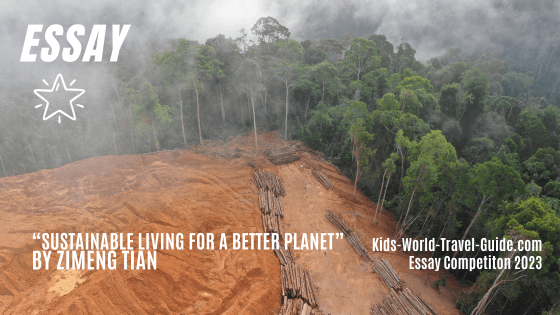 deforestation essay deforestation essay