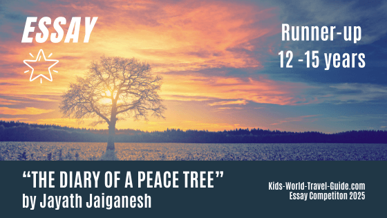 essay2025 peacetree