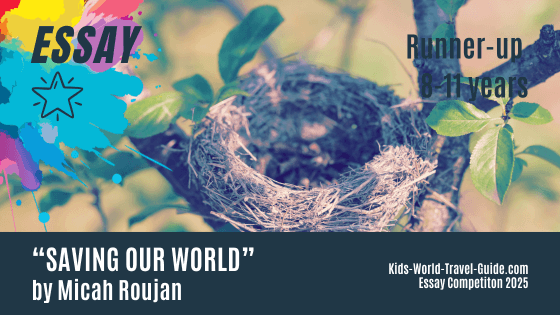 essay2025 savingourworld essay2025 savingourworld