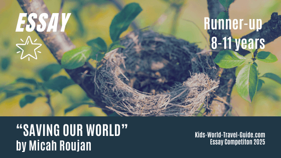 essay2025 saving our world poem