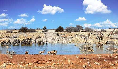 Facts About Namibia Namibia For Kids Namibia Superlatives Geography Facts About Namibia Namibia For Kids Namibia Superlatives Geography