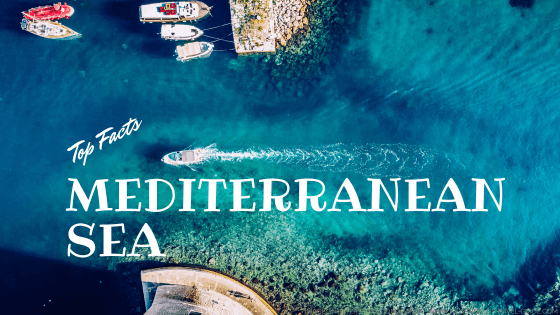facts about the mediterranean sea tiny