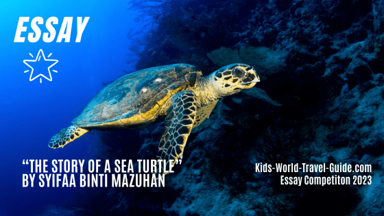 story of a sea turtle