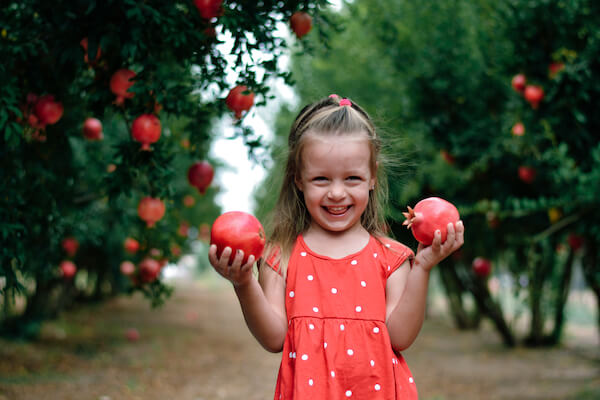 israel pomegranates