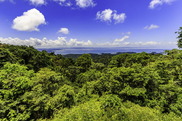 Brokopondo Reservoir in Suriname