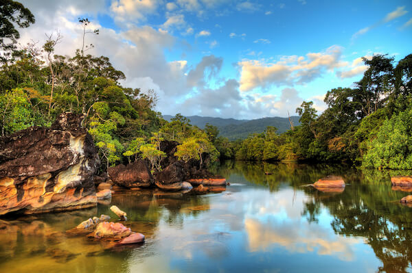 Masoala National Park Madagascar