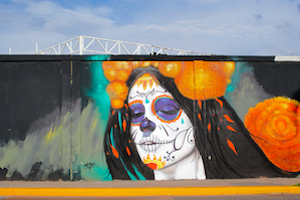 Mexico Aguascalientes Graffiti - image by Tekamex/shutterstock.com