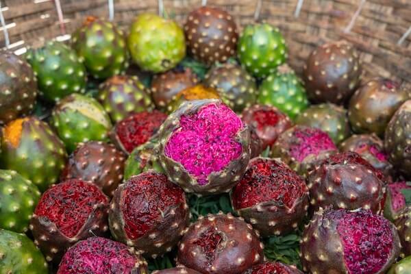 mexico pitaya