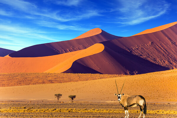 Namibian orange dunes with oryx