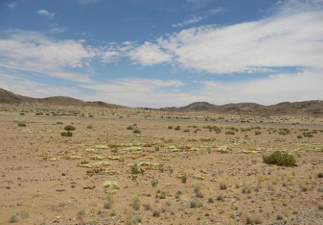 Southern Namibia