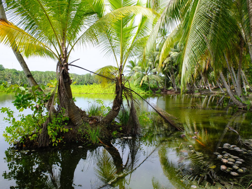 nauru lagoon