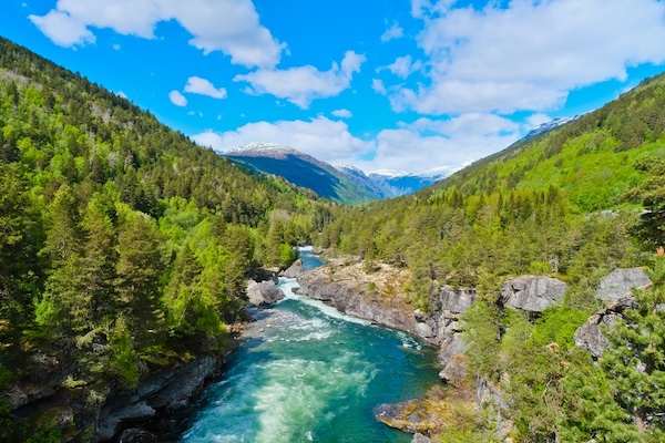 norway forests gudbrandsjuvet