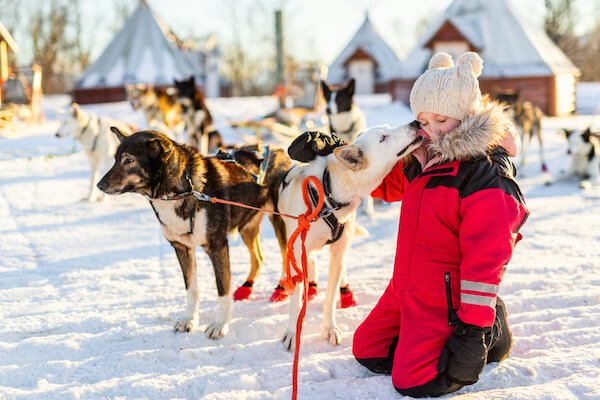 norway_dogs_sled