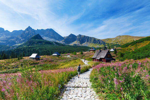 Poland landscape