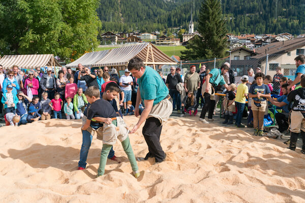 Schwingen - Swiss sports - image by Makasana/shutterstock.com