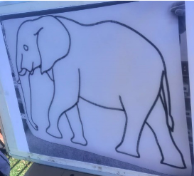 elephant drawing