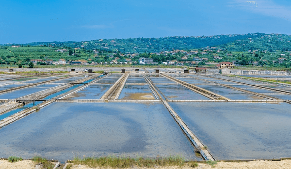slovenia salt pans