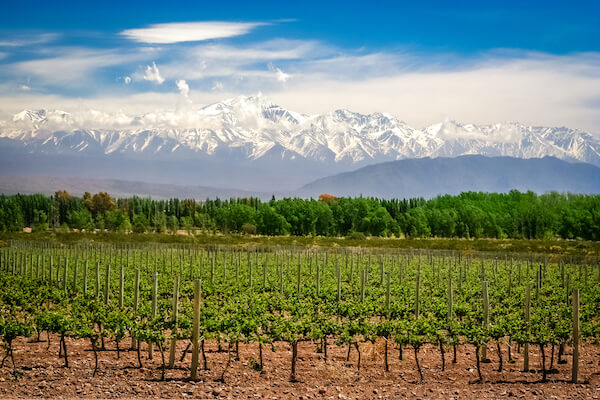 south america andes mendoza