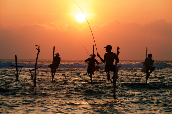Fishermen on Stilts in Sri Lanka at Sunrise