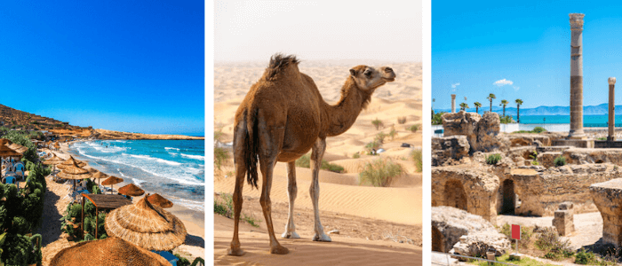 Tunisia Facts: Hammamet, Dromedary, Carthage