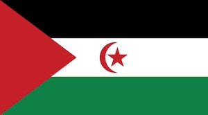 western sahara flag