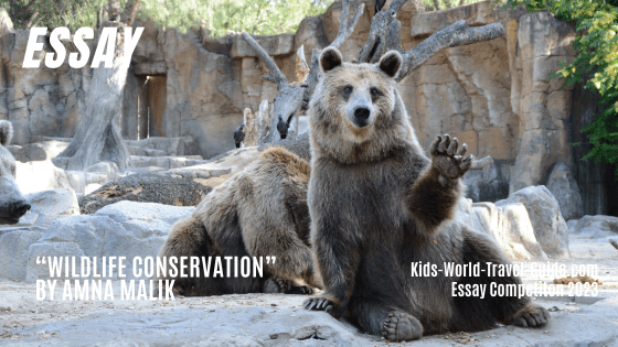 wildlife conservation essay