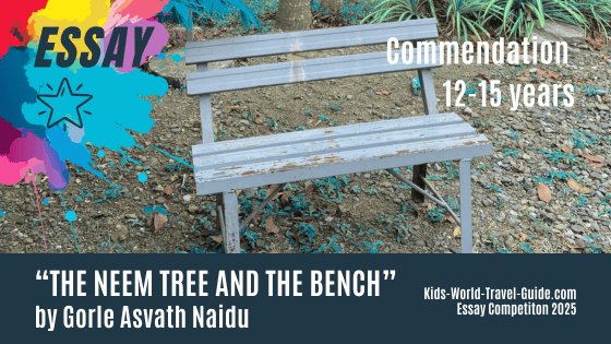 2025 neem tree and bench