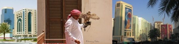 Qatar Pictures by: 1. Doha by Kaleff at sxc, 2.Falconry by Jan Smith, 3. Doha by Vobios Qatar Pictures by: 1. Doha by Kaleff at sxc, 2.Falconry by Jan Smith, 3. Doha by Vobios