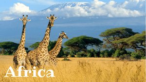Africa Facts for Kids by Kids World Travel Guide