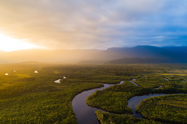 amazon rainforest sunset