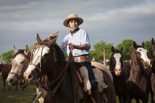 Argentina Gaucho on Horse - image by Ed Singer/Shutterstock.com