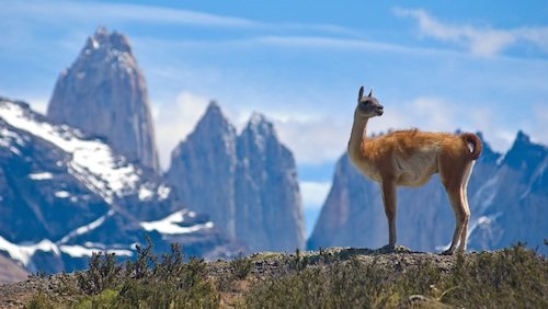 interesting Argentina Facts #Facts #Interesting #Argentina #Geography interesting Argentina Facts #Facts #Interesting #Argentina #Geography