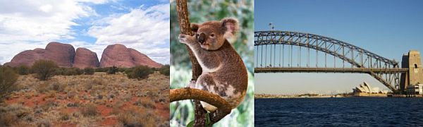 for Kids | Australia for Kids | Geography Animals